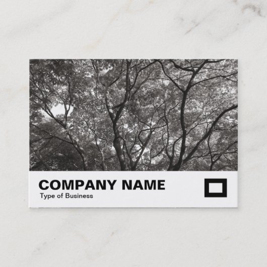 Carte De Visite Branches Japonaises 02 (Devant)