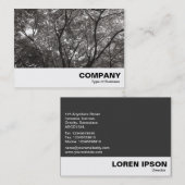 Carte De Visite Branches japonaises 02 (Devant / Derrière)