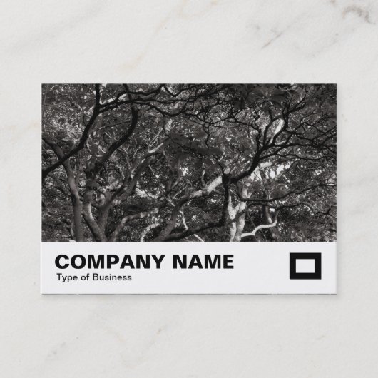 Carte De Visite Branches japonaises 03 (Devant)