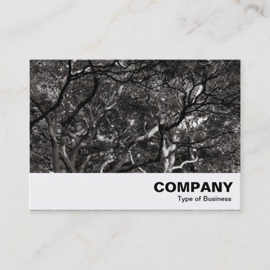 Carte De Visite Branches japonaises 03 (Devant)