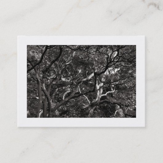 Carte De Visite Branches japonaises 03 (frontière) (Devant)