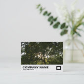 Carte De Visite Branches japonaises 04 (Debout devant)