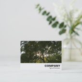 Carte De Visite Branches japonaises 04 (Debout devant)