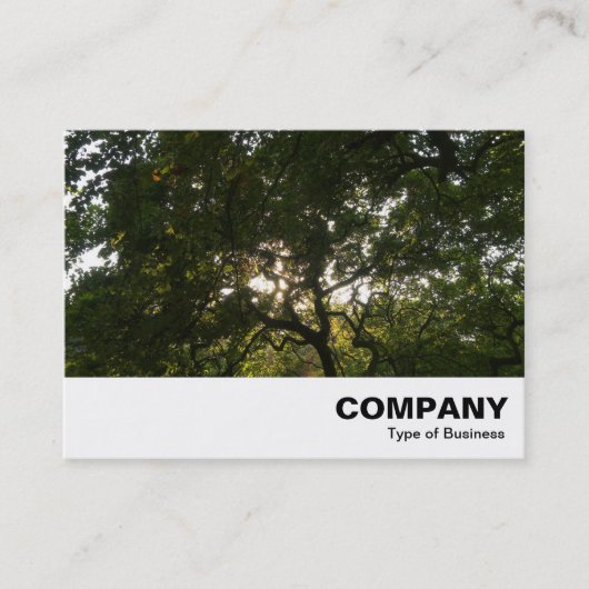 Carte De Visite Branches japonaises 04 (Devant)