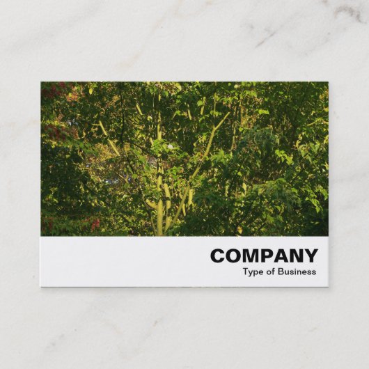 Carte De Visite Branches japonaises 05 (Devant)