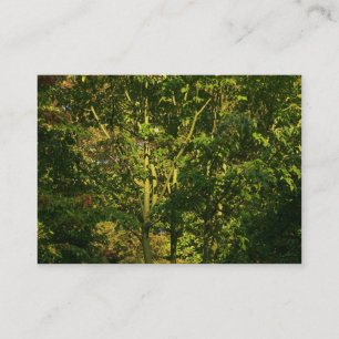 Carte De Visite Branches japonaises 05