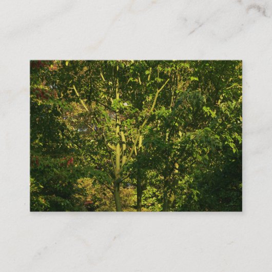 Carte De Visite Branches japonaises 05 (Devant)