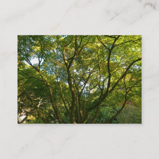 Carte De Visite Branches japonaises 06 (Devant)