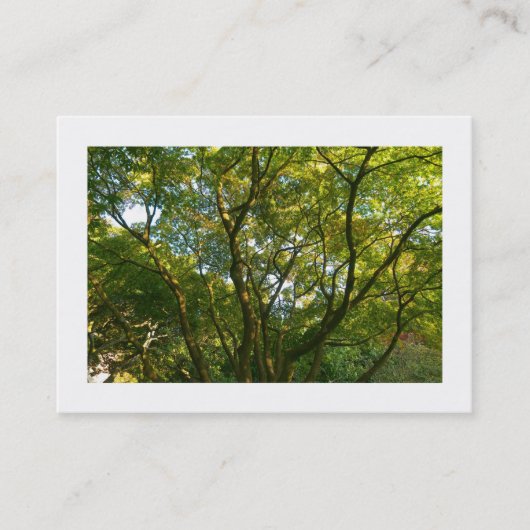 Carte De Visite Branches japonaises 06 (frontière) (Devant)