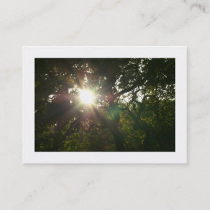 Carte De Visite Branches japonaises 07 (frontière)