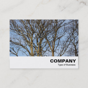 Carte De Visite Branches lumineuses
