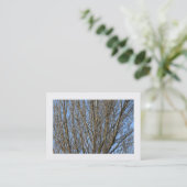 Carte De Visite Branches Sunlit (Bordées) (Debout devant)