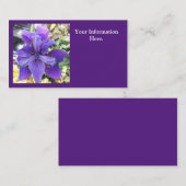 Carte De Visite Brandeis (Devant / Derrière)