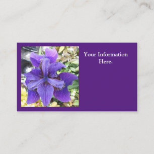 Carte De Visite Brandeis