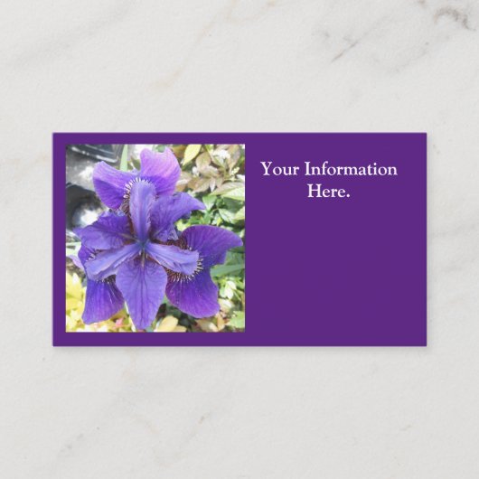 Carte De Visite Brandeis (Devant)