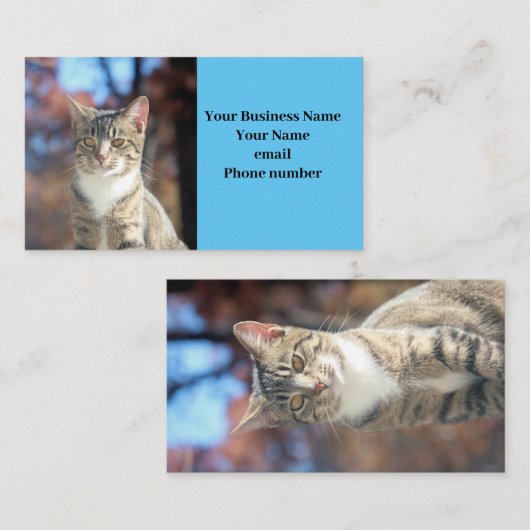 Carte De Visite Brin (Devant / Derrière)