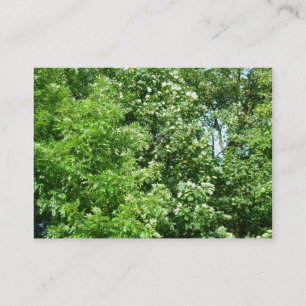 Carte De Visite Brise d'été