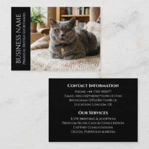 Carte De Visite British Shorthair minimaliste noir personnalisé