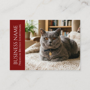 Carte De Visite British Shorthair minimaliste personnalisable