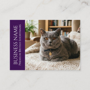 Carte De Visite British Shorthair Minimaliste Personnalisable