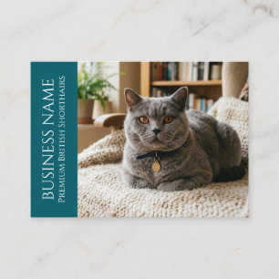 Carte De Visite British Shorthair minimaliste personnalisable