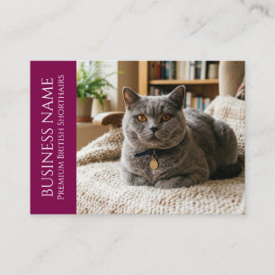 Carte De Visite British Shorthair Minimaliste Personnalisable