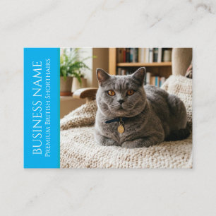 Carte De Visite British Shorthair Minimaliste Personnalisable