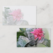 Carte De Visite Broméliade rose (Devant / Derrière)
