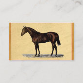 Carte de visite Brown à cheval (Dos)