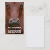 Carte de visite Brown de boeuf de boeuf (Devant / Derrière)