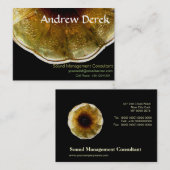 Carte de visite - bruit et musique (Devant / Derrière)