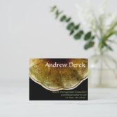 Carte de visite - bruit et musique (Debout devant)