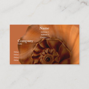 Carte De Visite Buccin