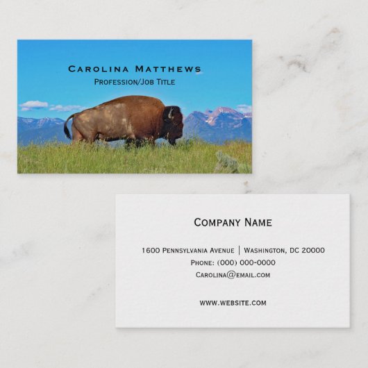 Carte De Visite Buffalo (Devant / Derrière)