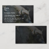 Carte De Visite Buffalo (Devant / Derrière)