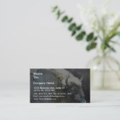 Carte De Visite Buffalo (Debout devant)