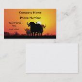 Carte De Visite Buffalo de cap (Devant / Derrière)