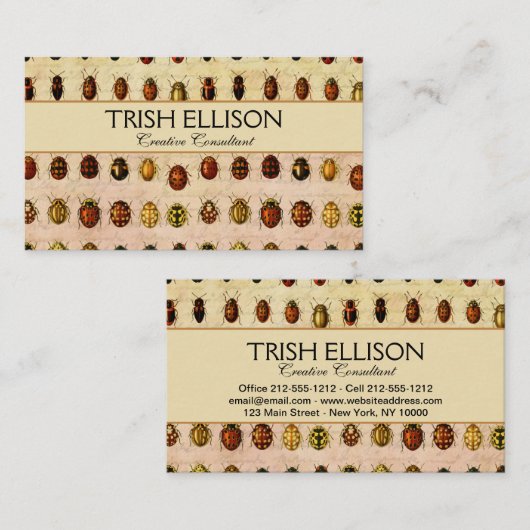 Carte De Visite Bug d'insectes coccinelle de coccinelle (Devant / Derrière)