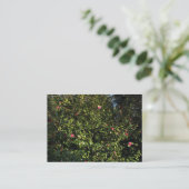 Carte De Visite Buisson de camélia rouge (Debout devant)
