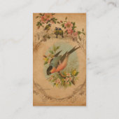 Carte De Visite Bulfinch Vintage (Dos)