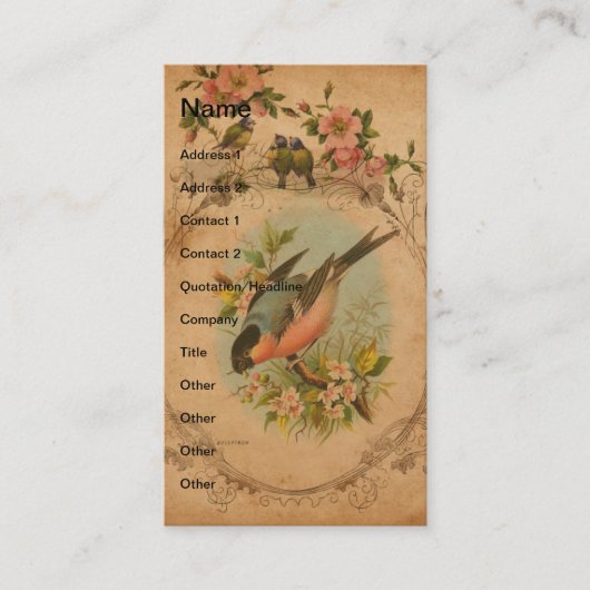 Carte De Visite Bulfinch Vintage (Devant)