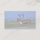 Carte De Visite Bull de caribou (Dos)