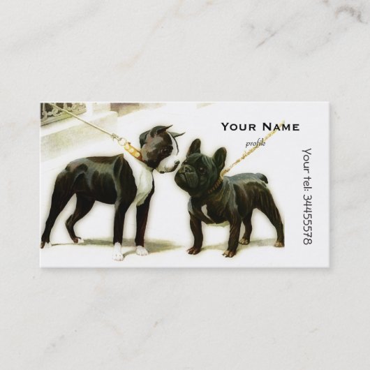 CARTE DE VISITE BULLDOG DE BOSTON TERRIER (Devant)