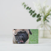 Carte De Visite Bullmastiff mignon (Debout devant)