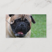Carte De Visite Bullmastiff mignon (Dos)