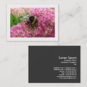 Carte De Visite Bumble Bee on Sedum (Borders) (Devant / Derrière)