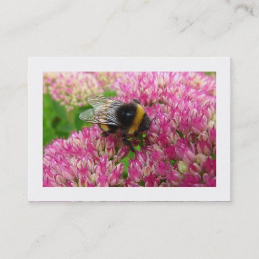 Carte De Visite Bumble Bee on Sedum (Borders) (Devant)