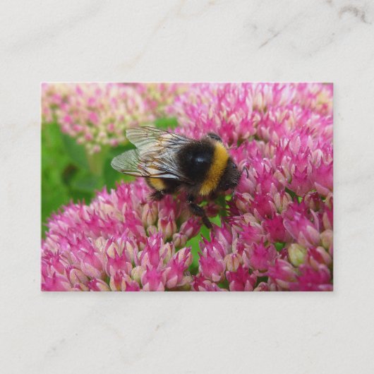 Carte De Visite Bumble Bee sur Sedum (Devant)
