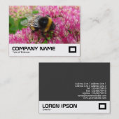 Carte De Visite Bumble Bee sur Sedum (Devant / Derrière)