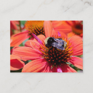 Carte De Visite Bumblebee sur coneflower